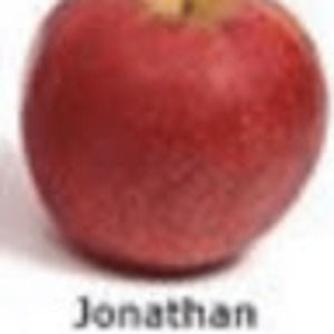 Meet your Posher, Jaden_guy_